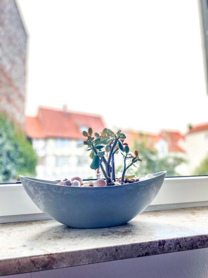 Apartmán Am Mathildenbrunnen Gross Quedlinburg Exteriér fotografie